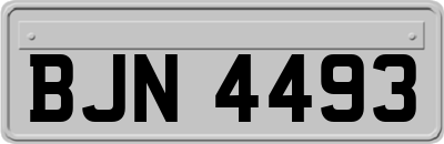 BJN4493