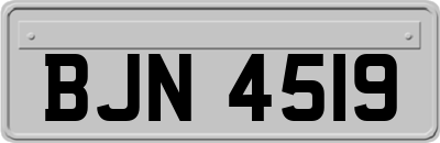 BJN4519