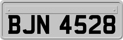 BJN4528