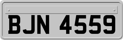 BJN4559