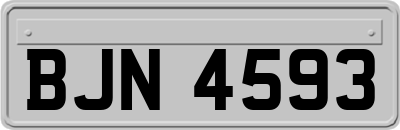 BJN4593