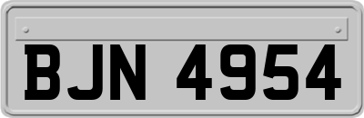 BJN4954