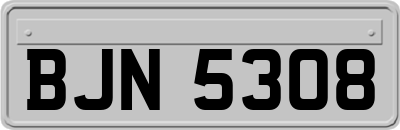 BJN5308