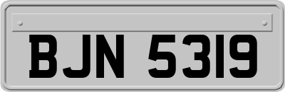 BJN5319