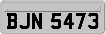 BJN5473