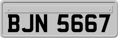BJN5667