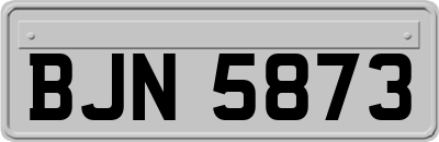 BJN5873