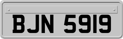 BJN5919