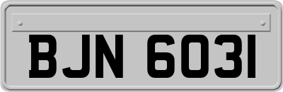 BJN6031