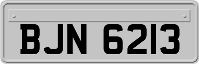 BJN6213