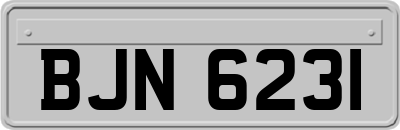 BJN6231