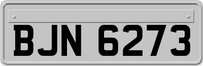 BJN6273