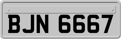 BJN6667
