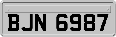 BJN6987