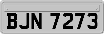 BJN7273