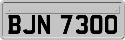 BJN7300