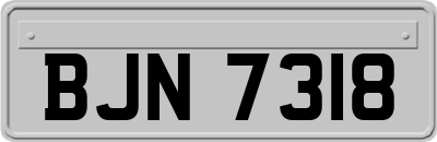 BJN7318