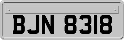 BJN8318
