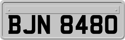 BJN8480