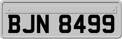 BJN8499