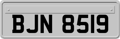 BJN8519