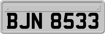 BJN8533