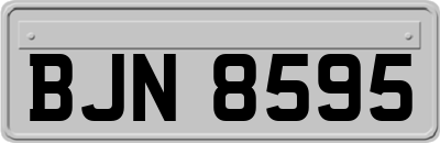 BJN8595