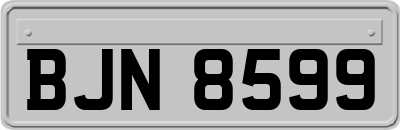 BJN8599