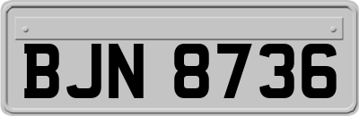 BJN8736