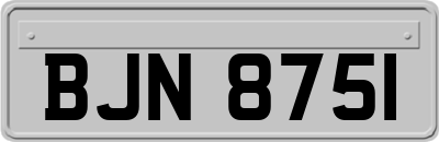 BJN8751