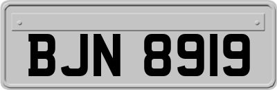 BJN8919
