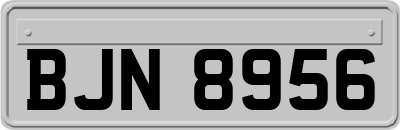 BJN8956