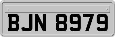 BJN8979