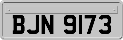 BJN9173
