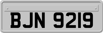 BJN9219