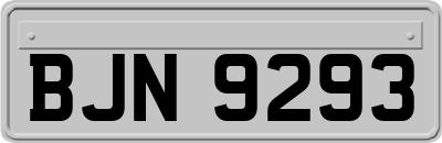 BJN9293
