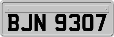 BJN9307