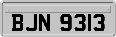 BJN9313