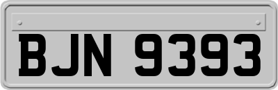BJN9393