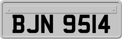 BJN9514