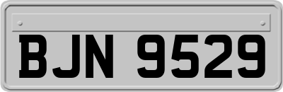 BJN9529