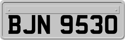 BJN9530