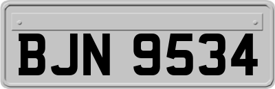 BJN9534