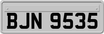 BJN9535