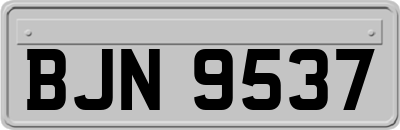 BJN9537