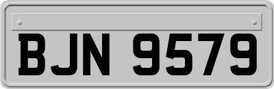 BJN9579