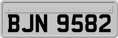 BJN9582