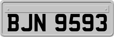 BJN9593