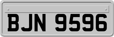 BJN9596