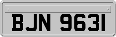 BJN9631